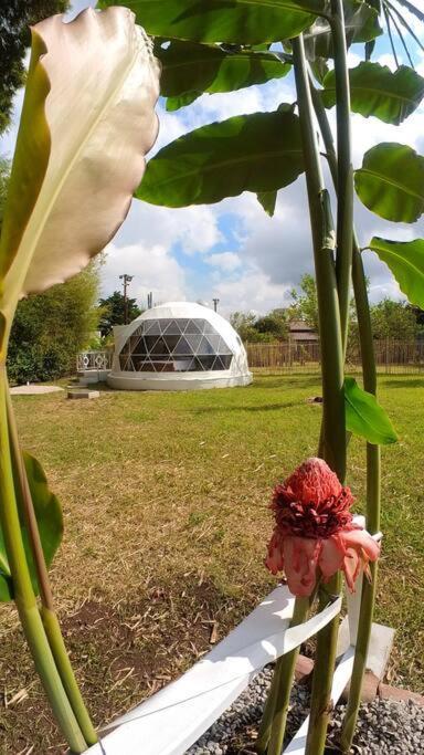 Dome In The Heart Of Boquete. Lejlighed Eksteriør billede