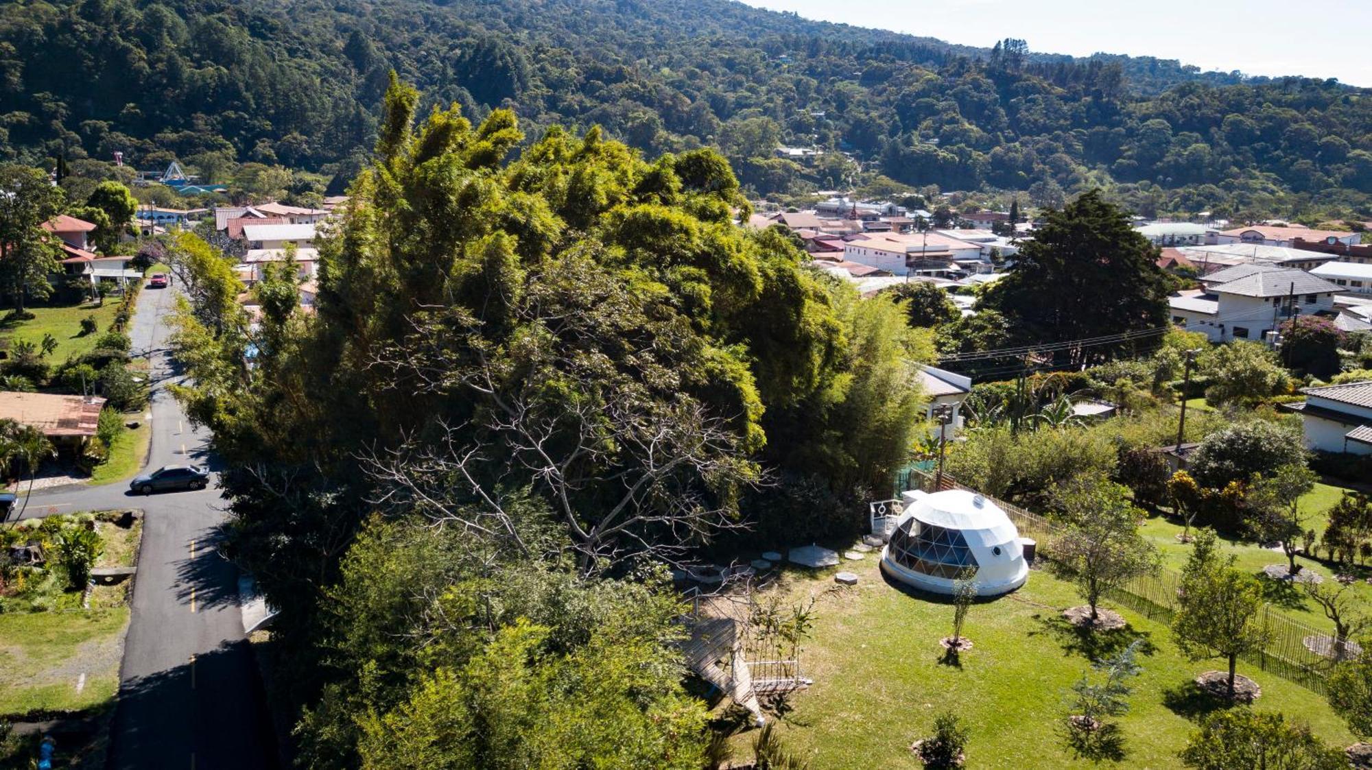 Dome In The Heart Of Boquete. Lejlighed Eksteriør billede